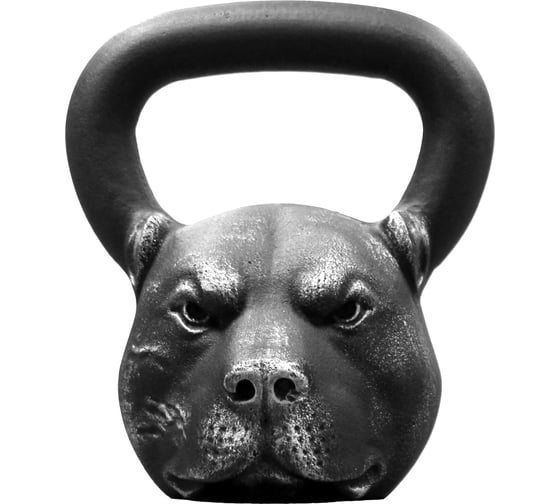 Гиря Iron Head Питбуль 16,0 кг СГ000002960 1