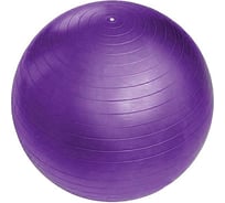 Фитбол Sportage 55 см, 600 г, микс цветов 267-619