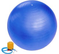 Фитбол Sportage 65 см, 800 г, с насосом, голубой 267-620/2