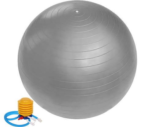 Фитбол Sportage 65 см, 800 г, с насосом, серебро 267-620/5