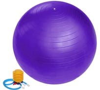 Фитбол Sportage 65 см, 800 г, с насосом, фиолетовый 267-620/3