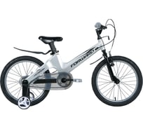 Велосипед FORWARD COSMO 16, 2.0 disc, 2020-2021 г, серый 1BKW1K7C1011