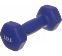 Гантель для фитнеса Sportage 2 кг 265-433