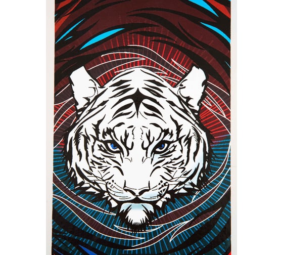 Скейтборд Saimaa Tiger 78 см SH04 SH04_2