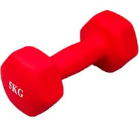 Шестиугольная гантель URM 5 кг, красная B00143