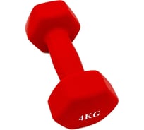 Шестиугольная гантель URM 4 кг, красная B00169