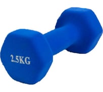Шестиугольная гантель URM 2.5 кг, синяя B00137