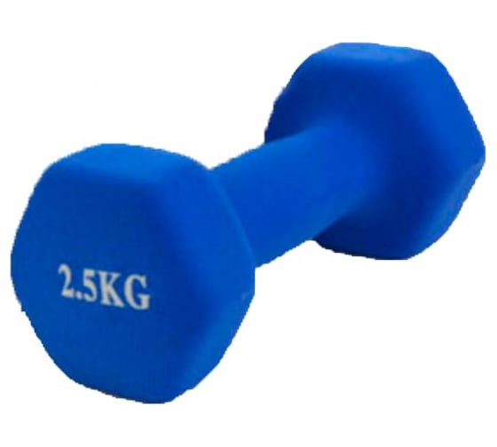 Шестиугольная гантель URM 2.5 кг, синяя B00137 1