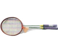 Набор для бадминтона ATEMI 2 ракетки + волан, сталь, зеленый BAS-10 00000105917