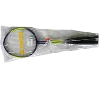 Набор для бадминтона ATEMI сталь, темно-синий/салатовый BAS-13 00000105912