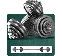 Гантели разборные PROIRON из чугуна, с грифом, 2 шт, по 15 кг Г2150Ч