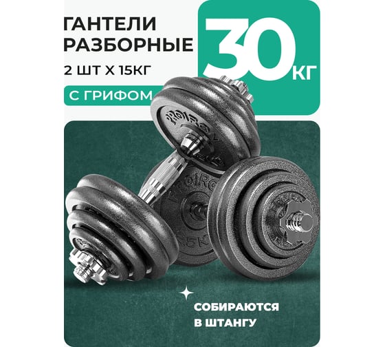 Гантели разборные PROIRON из чугуна, с грифом, 2 шт, по 15 кг Г2150Ч