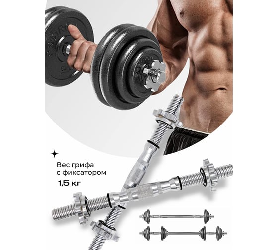 Гантели разборные PROIRON из чугуна, с грифом, 2 шт, по 15 кг Г2150Ч