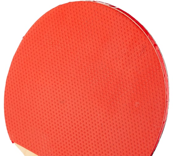 Ракетка для игры в пинг-понг Ecos PPR-02 323107