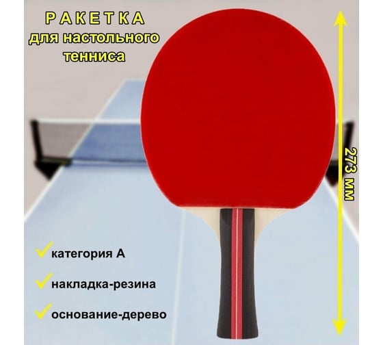 Ракетка для игры в пинг-понг Победитъ PPR-A 323139