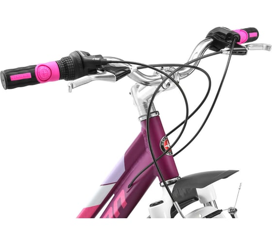 Велосипед SCHWINN Breaker 24 Girls S2529INT