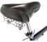 Велосипед SCHWINN Wayfarer S4032DINT 5