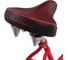 Велосипед SCHWINN Scarlet S8029AINT 5