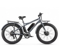 Велогибрид VOLTECO BIGCAT DUAL NEW 022560-2309