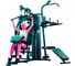 Станция силовая трехпозиционная ULTRAGYM Altezani Gym 001 TSRD00151650 2