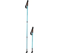 Палки для скандинавской ходьбы Larsen Adventure раздвижные, 65-135см, 3х секционные 339 425