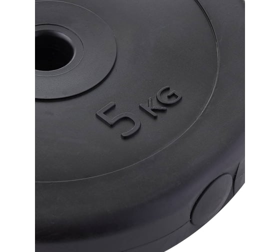 Диск пластиковый Basefit BB-203 5 кг, d=26 мм, черный УТ-00019755