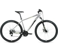 Велосипед FORWARD APACHE 29, 2.2 disc, 29, 21 скорость, рост 21, серый/бежевый RBKW1M39G014