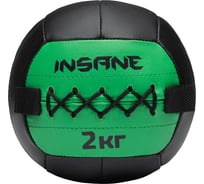 Медбол Insane IN24-WB100 2 кг, зеленый 4680459214508 ЦБ-00003209