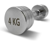 Гантель UNIXFIT PRO круглая, хромированная, 4 кг DBRND4PCE