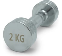 Гантель UNIXFIT PRO круглая, хромированная, 2 кг DBRND2PCE