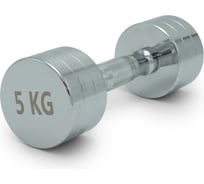 Гантель UNIXFIT PRO круглая, хромированная, 5 кг DBRND5PCE
