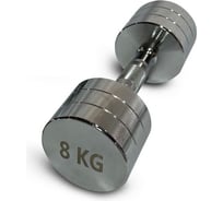 Гантель UNIXFIT PRO круглая, хромированная, 8 кг DBRND8PCE