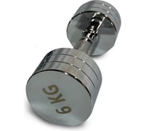 Гантель UNIXFIT PRO круглая, хромированная, 6 кг DBRND6PCE