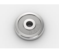 Диск хромированный UNIXFIT 2.5 кг / 25 мм DU2500CE