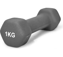 Гантель UNIXFIT неопреновая 1 кг Grey DBNEO1GY