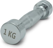 Гантель UNIXFIT PRO круглая хромированная 1 кг DBRND1PCE