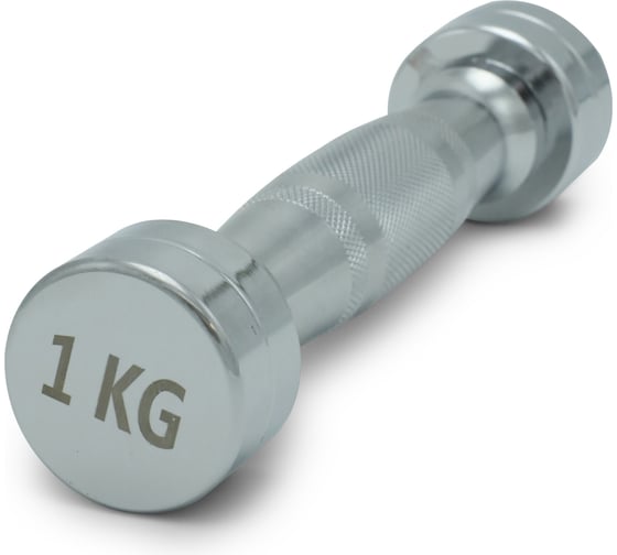 Гантель UNIXFIT PRO круглая хромированная 1 кг DBRND1PCE