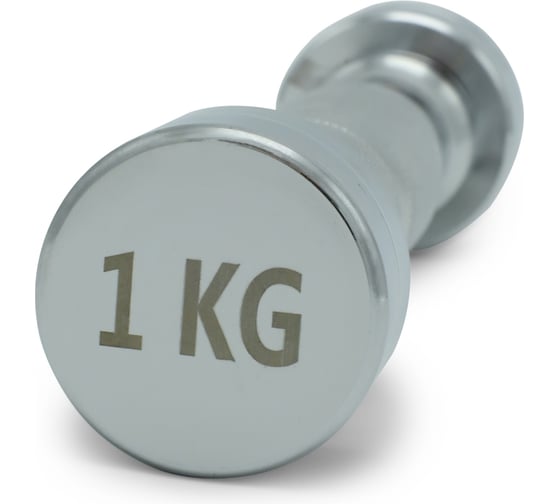 Гантель UNIXFIT PRO круглая хромированная 1 кг DBRND1PCE