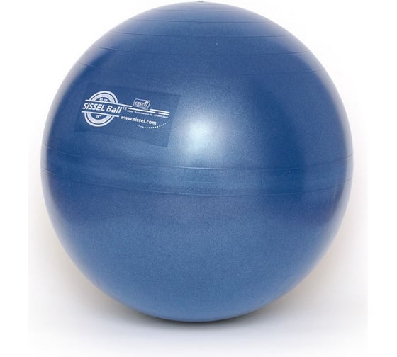 Гимнастический мяч SISSEL SI Exercise Ball диаметр 65 см, синий 160.063 00-00-00 1