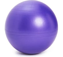 Гимнастический мяч SISSEL SI Securemax Exercise Ball диаметр 65 см, темно-фиолетовый 160.010 00-00-00