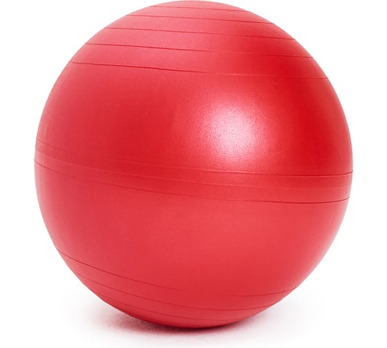 Гимнастический мяч SISSEL SI Securemax Exercise Ball диаметр 55 см, красный 160.011 00-00-00
