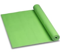 Коврик для йоги и фитнеса INDIGO PVC 173х61х0.3 см YG03 зеленый