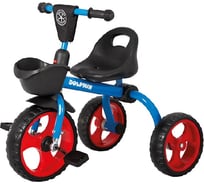 Трехколесный детский складной велосипед MAXISCOO Dolphin синий MSC-BCL062001B