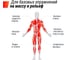Штанга регулируемая многофункциональная 3 в 1 UNIXFIT 24 кг BBREG3IN124 8