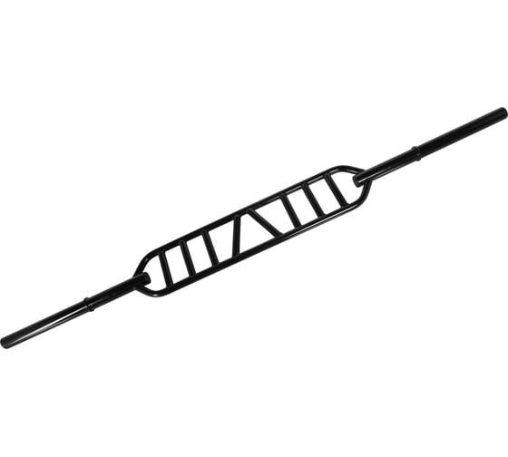 Гриф для штанги UNIXFIT Swiss Bar PRO 212 см / 51 мм BB21_50SBPBK
