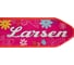 Трехколесный самокат Larsen Girl GS-002A-RB N/C N/S 245716 5