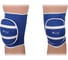 Волейбольные наколенники INDIGO S 2010A-TSP синий 1