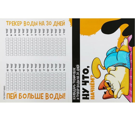Спортивный набор ONLITOP Кот, для йоги 5298302