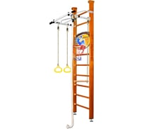 Шведская стенка Kampfer Helena Ceiling Basketball Shield 52411