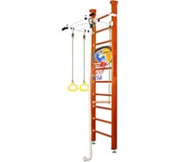 Шведская стенка Kampfer Helena Ceiling Basketball Shield 53769